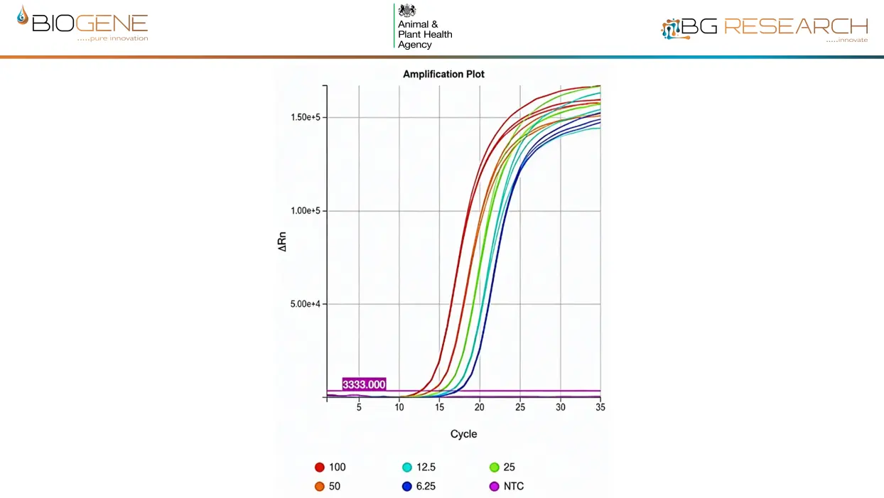 Direct detection of ASFV, spiked into whole pig blood from 6-800 virions/rxn