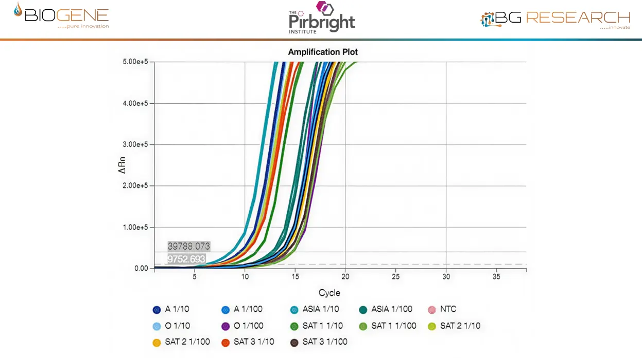 CENOS rxns containing 16% cattle nasal swab eluate, spiked with 1/10 or 1/100 dilutions of exemplar live virus cultures of the 7 serotypes of FMDV.