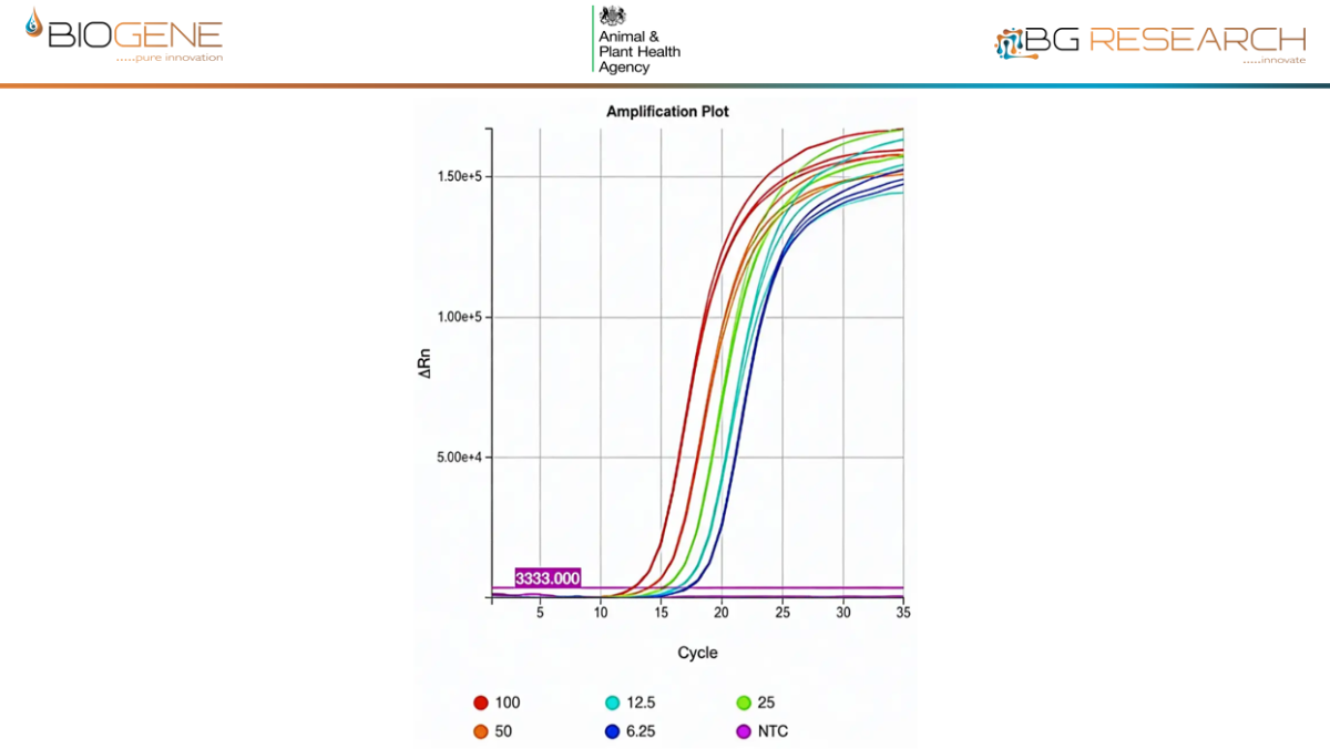 Direct detection of inactivated AIV of the current UK outbreak strain, spiked into cloacal swab at 6-100 virions/rxn. LLOD is <1,000 virions/ml of eluate. on
