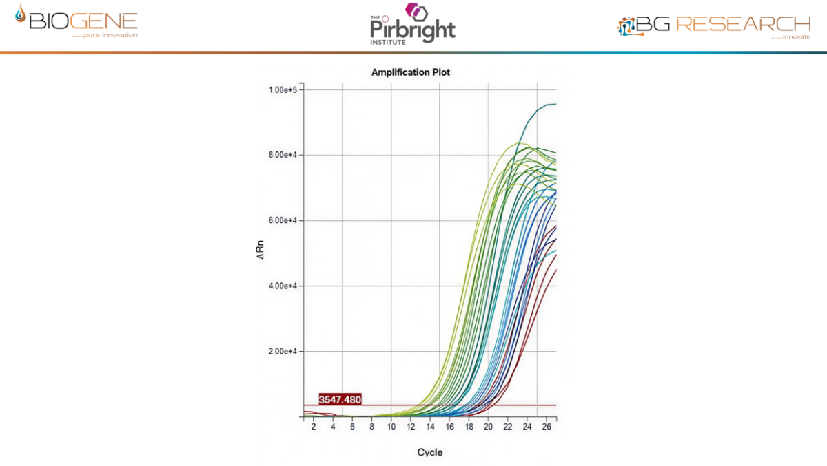  Direct detection of ASFV, spiked into whole pig blood from 6-800 virions/rxn. LLOD is <1,000 virions/ml. 