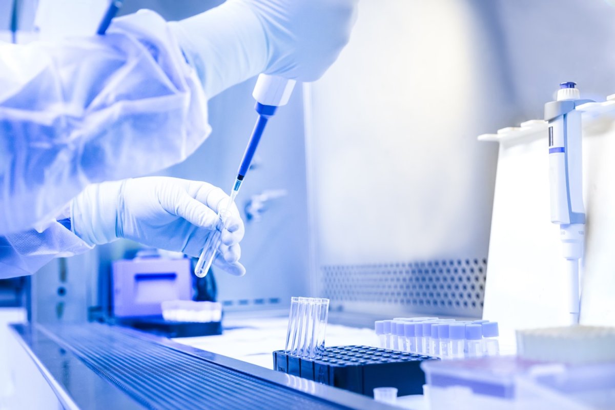 Diagnostic confirmation for notifiable avian diseases typically relies on laboratory real-time PCR testing.