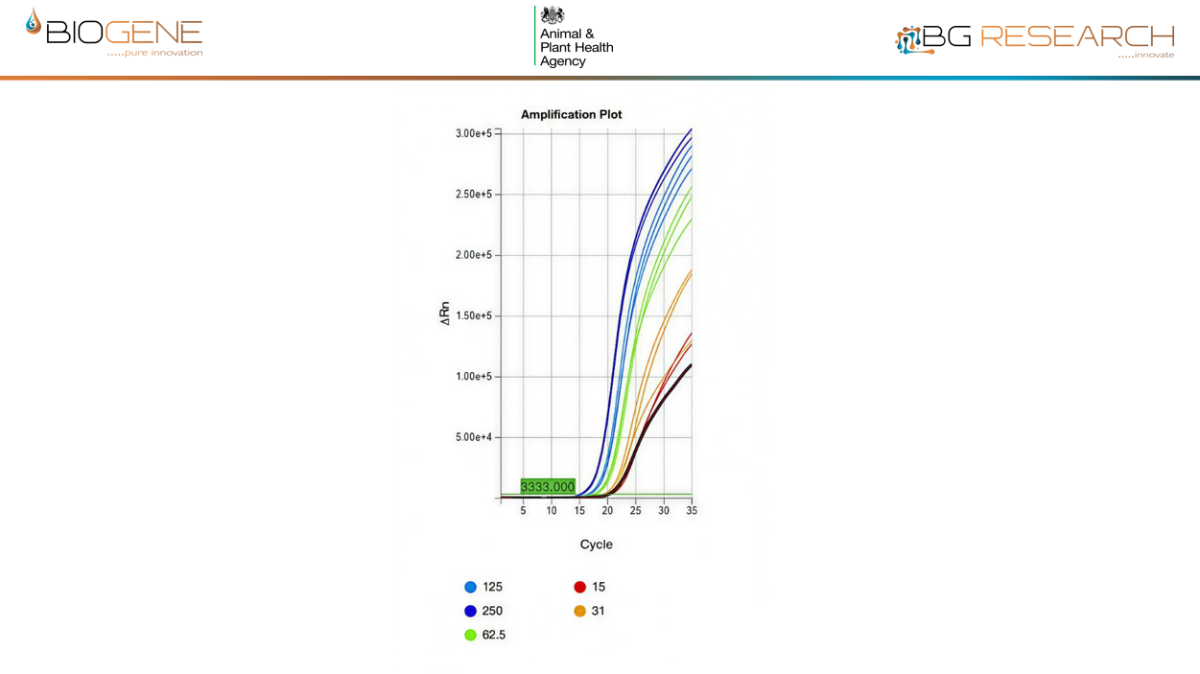 Direct detection of inactivated NDV, spiked into cloacal swab at 15-125 virions/rxn. LLOD is <2,000 virions/ml swab eluate.
